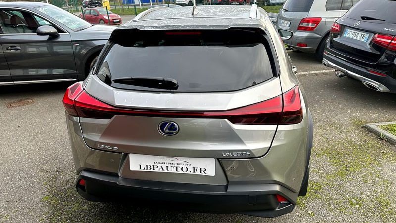 LEXUS UX250H PHASE 2 LUXE