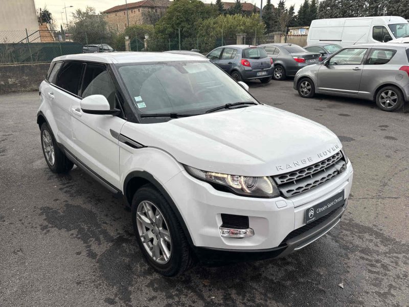 EVOQUE Mark I eD4 Pure Pack Tech Pure P1