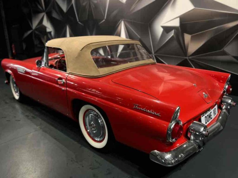 FORD THUNDERBIRD 1955 v8 reprise possible