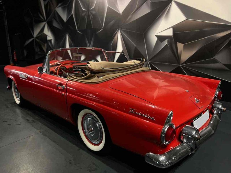 FORD THUNDERBIRD 1955 v8 reprise possible
