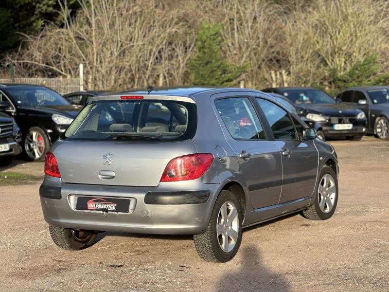 PEUGEOT 307 2004