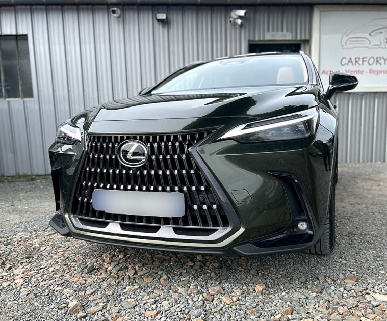 LEXUS NX  2022