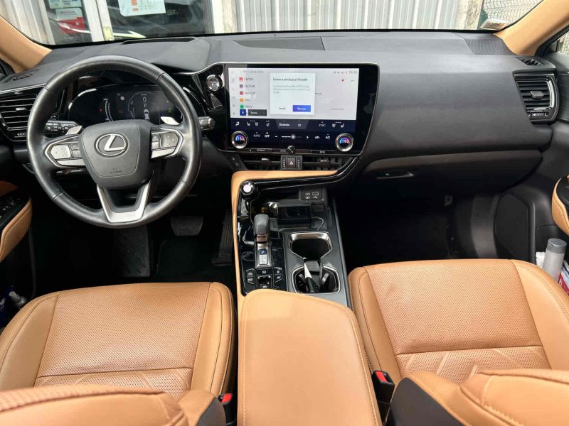 LEXUS NX  2022