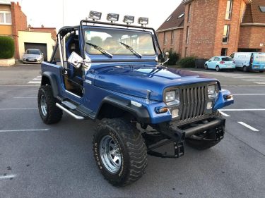 JEEP WRANGLER  19912.5 REPRISE POSSIBLE