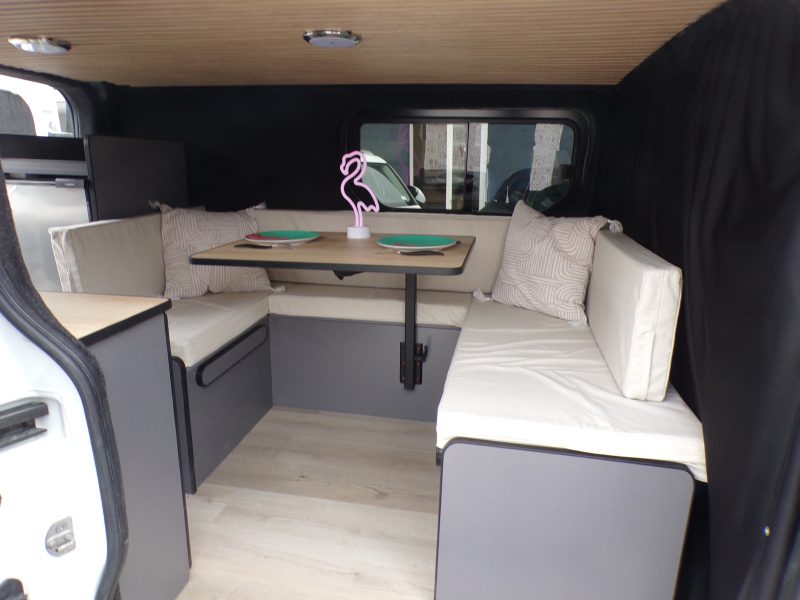 RENAULT TRAFIC III Camionnette 2015