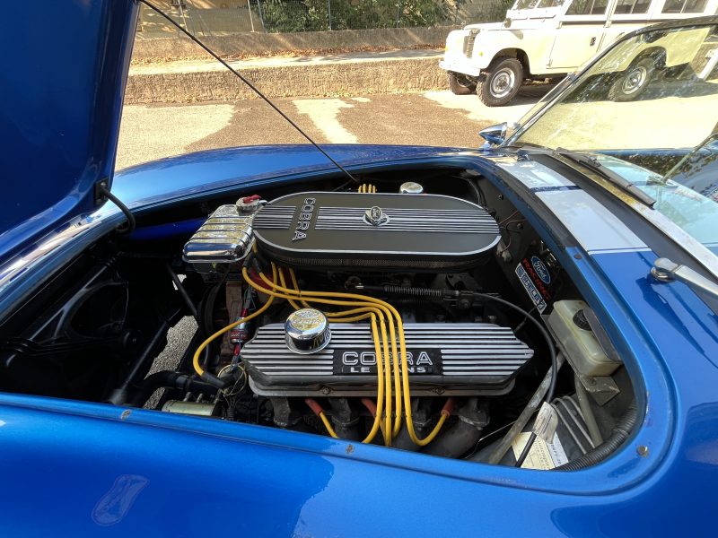 AC COBRA 427 CI 1981