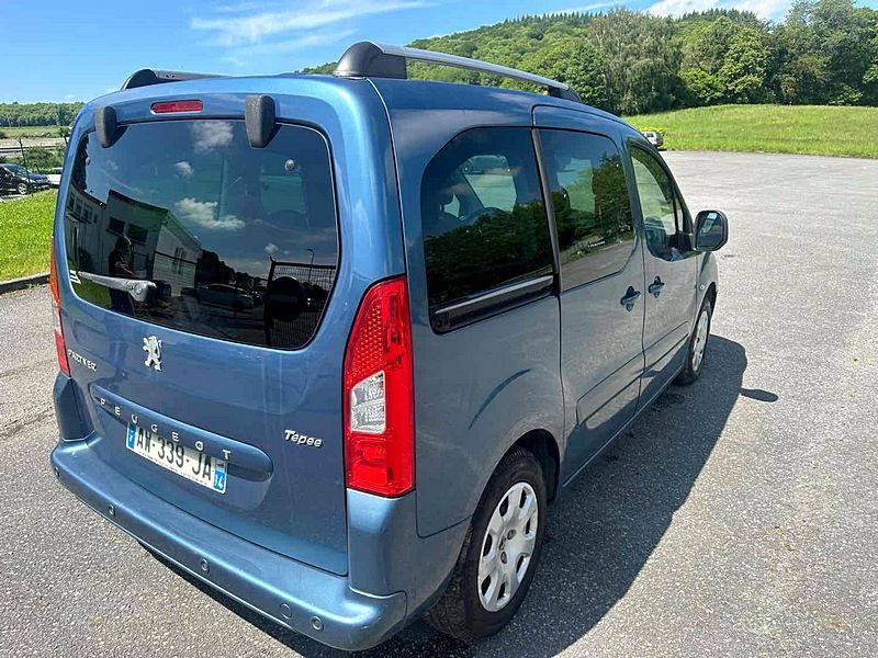 PEUGEOT PARTNER TEPEE 2010