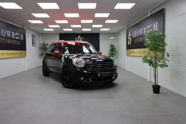 MINI MINI 2012