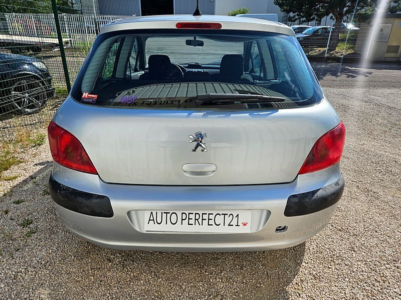 PEUGEOT 307 2004