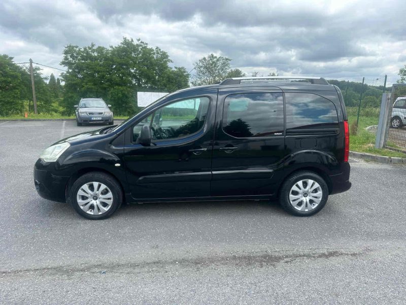 CITROEN BERLINGO MULTISPACE 2010