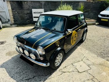 MINI MINI 1988