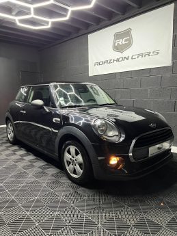 MINI MINI 2014