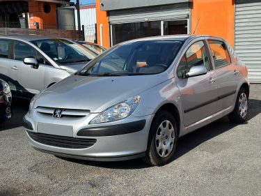 PEUGEOT 307 2002