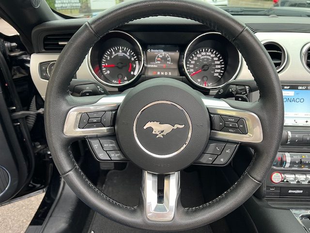 Ford MUSTANG CONVERTIBLE 2.3 ECOBOOST 317CH