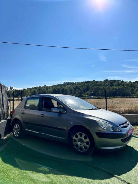 🌟 Peugeot 307 1.6i - 2004, Faible Kilométrage et Confort🌟