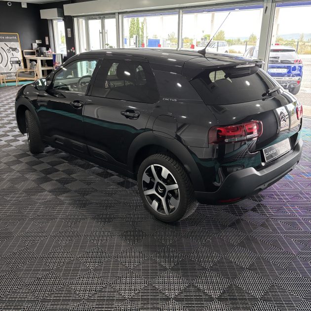 CITROEN C4 CACTUS 110 cv Shine EAT6 garantie 12 mois