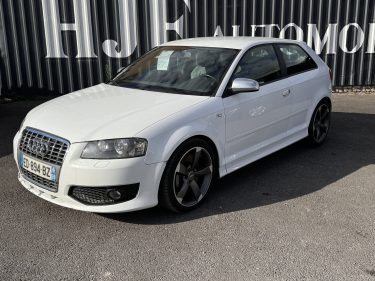 AUDI S3  8P 265 cv 