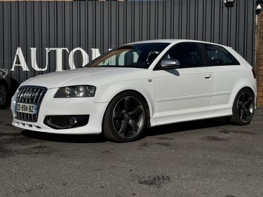 AUDI S3  8P 265 cv 