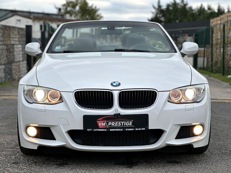 BMW Serie 3 2010