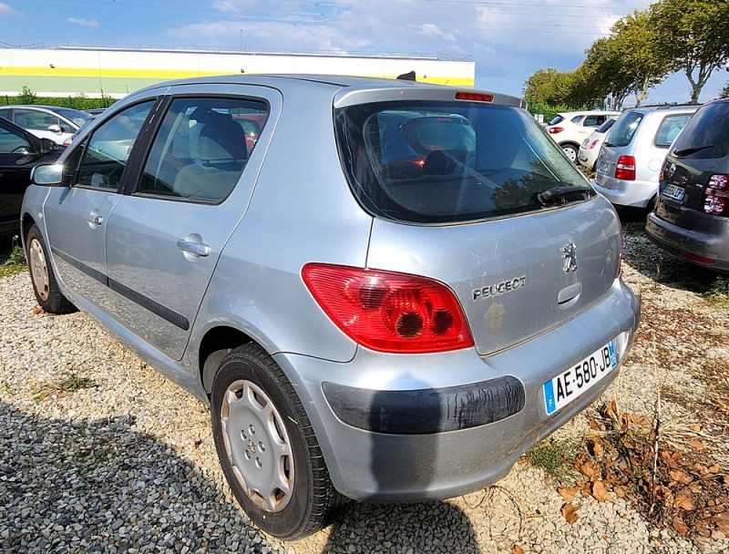 PEUGEOT 307 2002