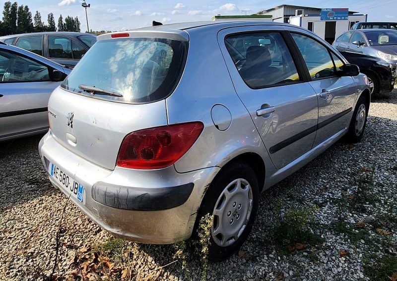 PEUGEOT 307 2002