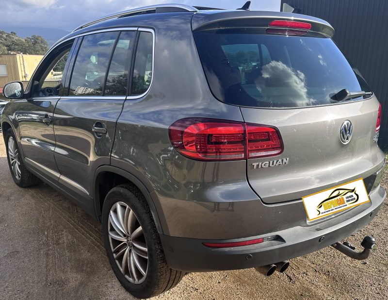 VOLKSWAGEN TIGUAN 2014