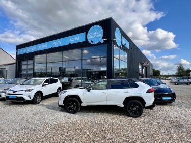 TOYOTA RAV4 222cv AWD Collection 07/2019