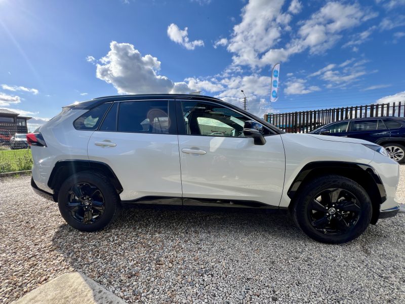 TOYOTA RAV4 222cv AWD Collection 07/2019