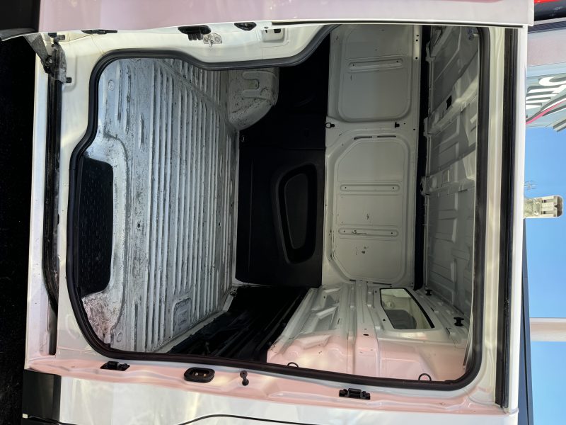 RENAULT TRAFIC III Camionnette 2019