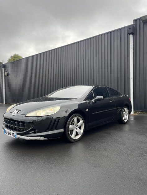 PEUGEOT 407 2007