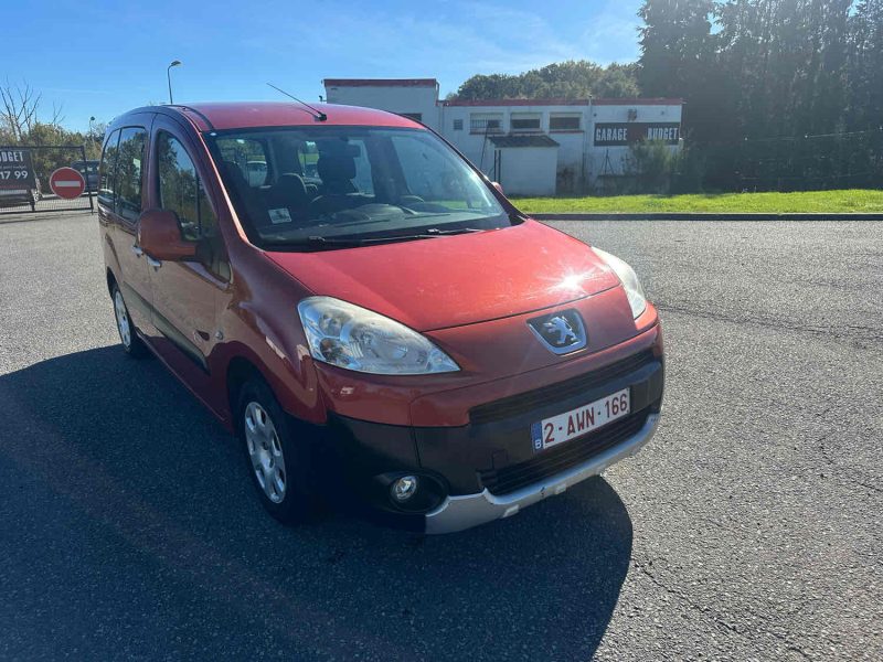 PEUGEOT PARTNER TEPEE 2010