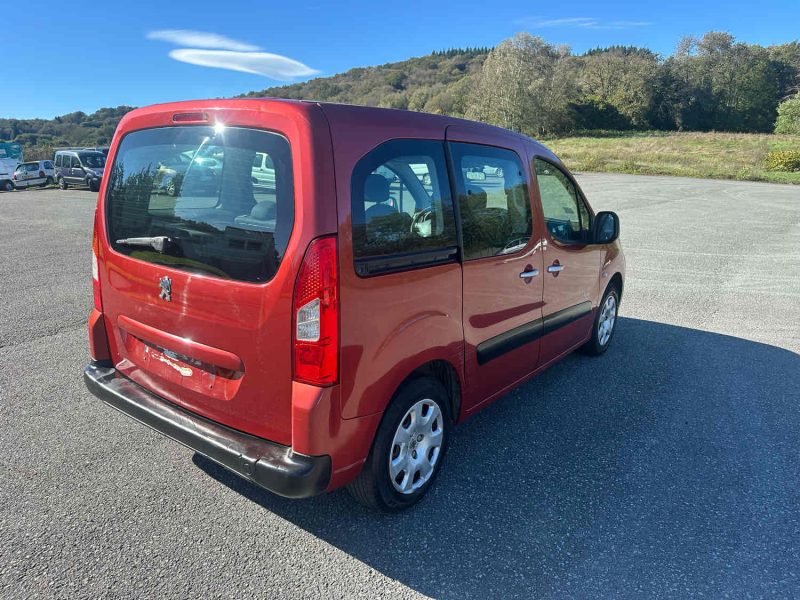 PEUGEOT PARTNER TEPEE 2010