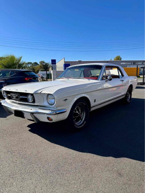 FORD MUSTANG GT  v8 bvm4 289 ci 1965