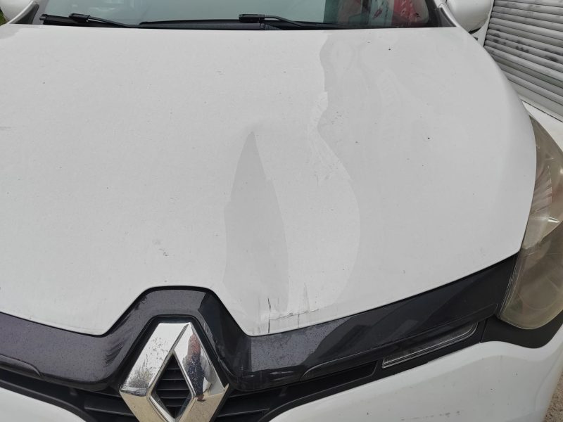 RENAULT CLIO 2016