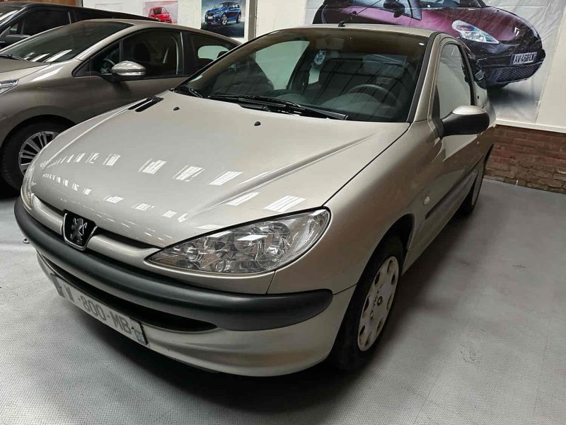 Peugeot 206 1.1 enfant terrible