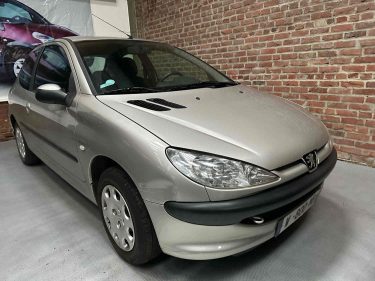 Peugeot 206 1.1 enfant terrible