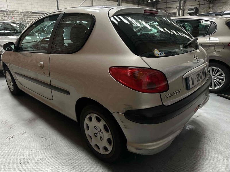 Peugeot 206 1.1 enfant terrible