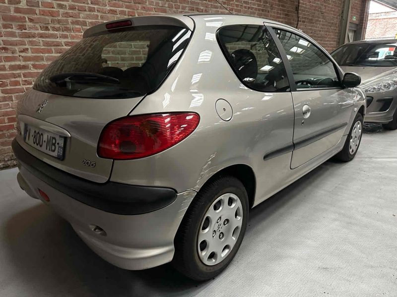 Peugeot 206 1.1 enfant terrible