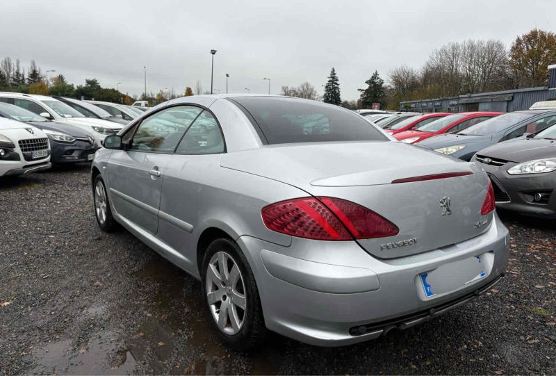 PEUGEOT 307 2004