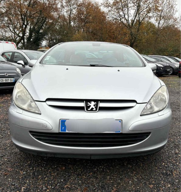 PEUGEOT 307 2004