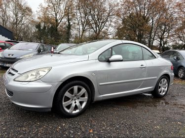 PEUGEOT 307 2004