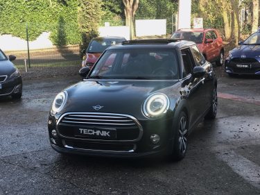 MINI MINI 2019