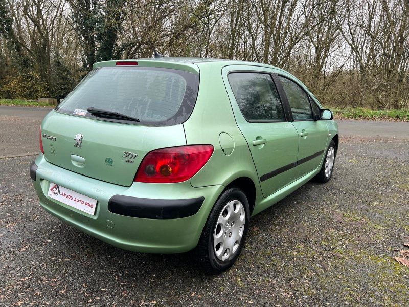 PEUGEOT 307 2004