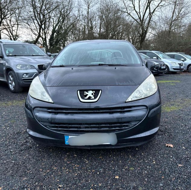 PEUGEOT 207  2008