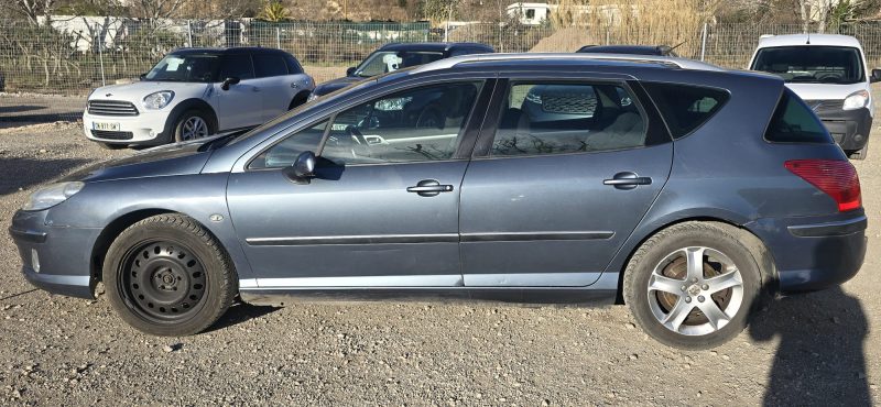 Peugeot 407 Space Wagon 2.0 HDI 16V FAP 138 CV – Bon état général