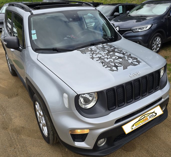 JEEP RENEGADE 2019