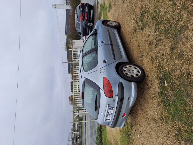 PEUGEOT 206 3/5 portes (2A/C) 0001