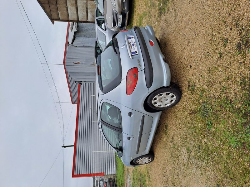 PEUGEOT 206 3/5 portes (2A/C) 0001