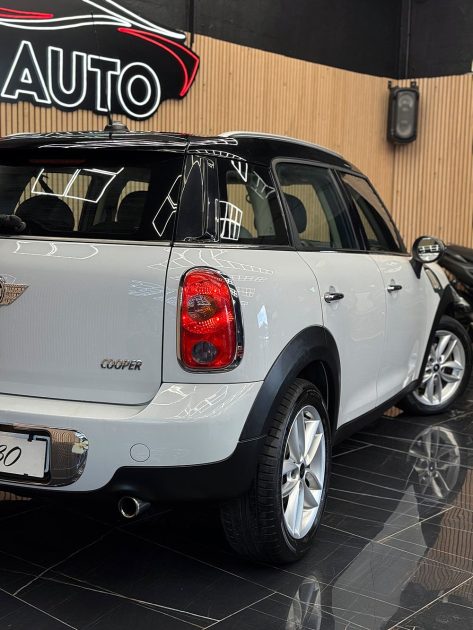 MINI MINI 2012