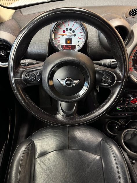MINI MINI 2012
